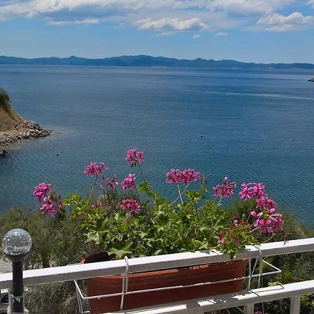 Apartmani Kunjasic Trstenik  Exterior photo