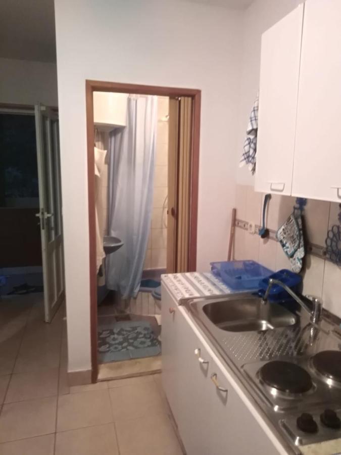 Apartmani Kunjasic Trstenik  Exterior photo